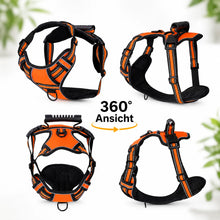 Hundegeschirr 360