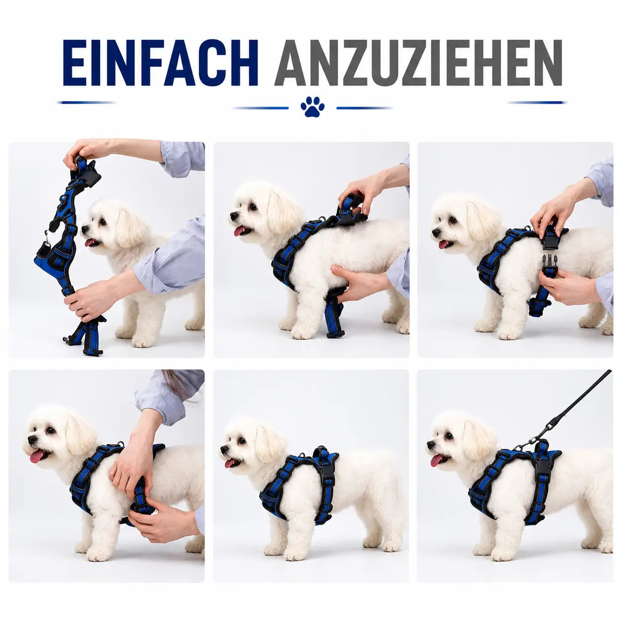 Hundegeschirr Installation 