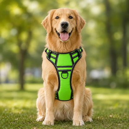 Hundegeschirr  Hunde