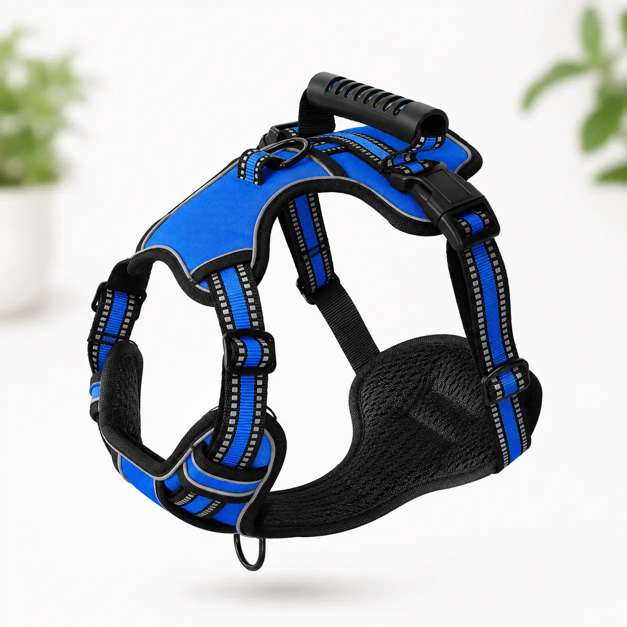 Hundegeschirr Blau