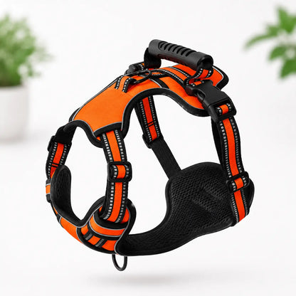 Hundegeschirr Orange