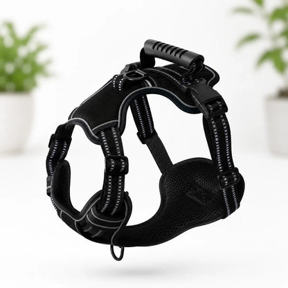 Hundegeschirr Schwarz