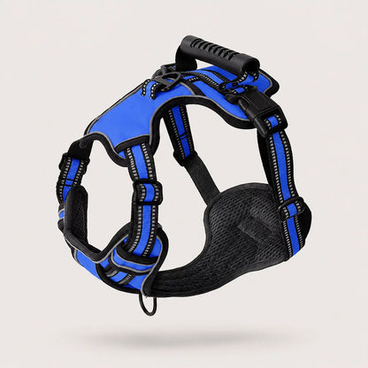 Hundegeschirr Blau