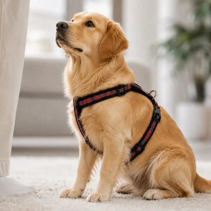 Hundegeschirr