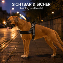 Hundegeschirr 