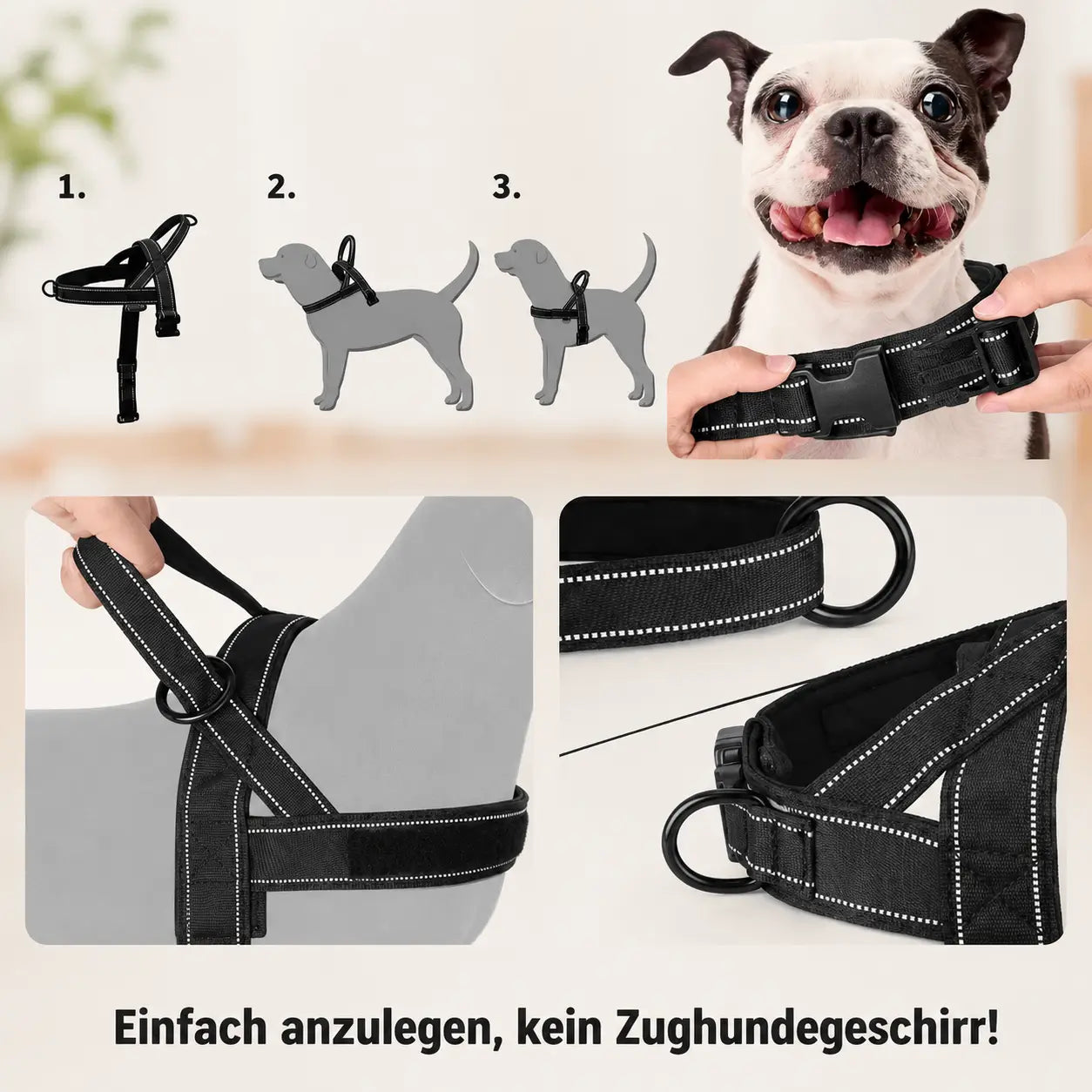 Hundegeschirr Installation 