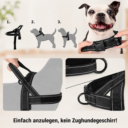 Hundegeschirr Installation 