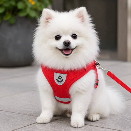 Reflektierendes_Hundegeschirr Hauptbild 