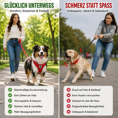 Reflektierendes_Hundegeschirr Produktvergleich 