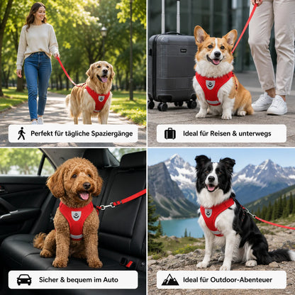 Reflektierendes_Hundegeschirr Anwendungsszenarien 