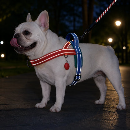 Hundegeschirr