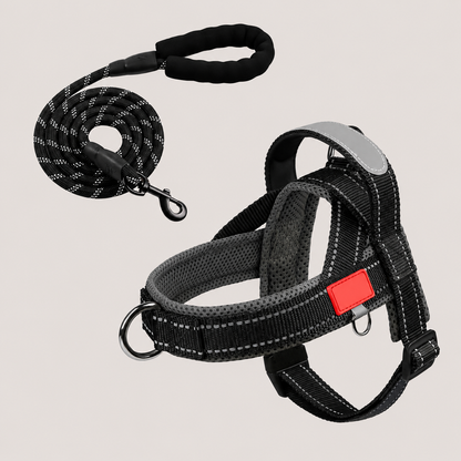 Hundegeschirr Schwarz
