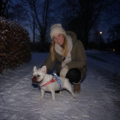 Hundegeschirr