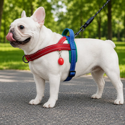 Hundegeschirr Außenbereich 