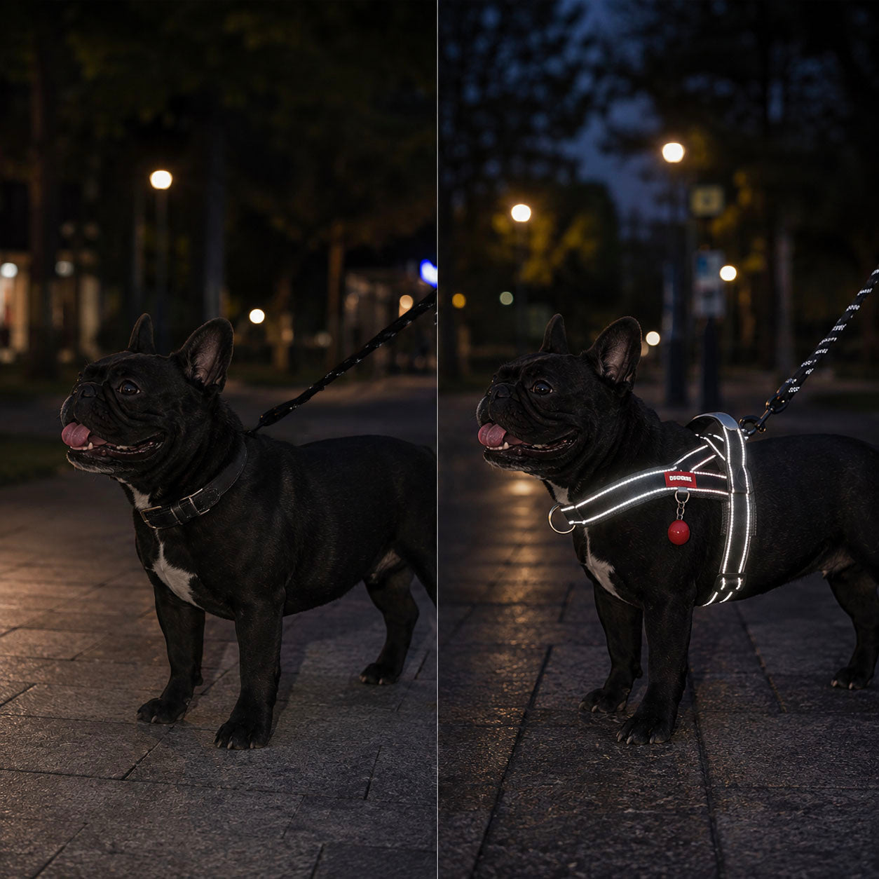 Hundegeschirr Problem & Lösung