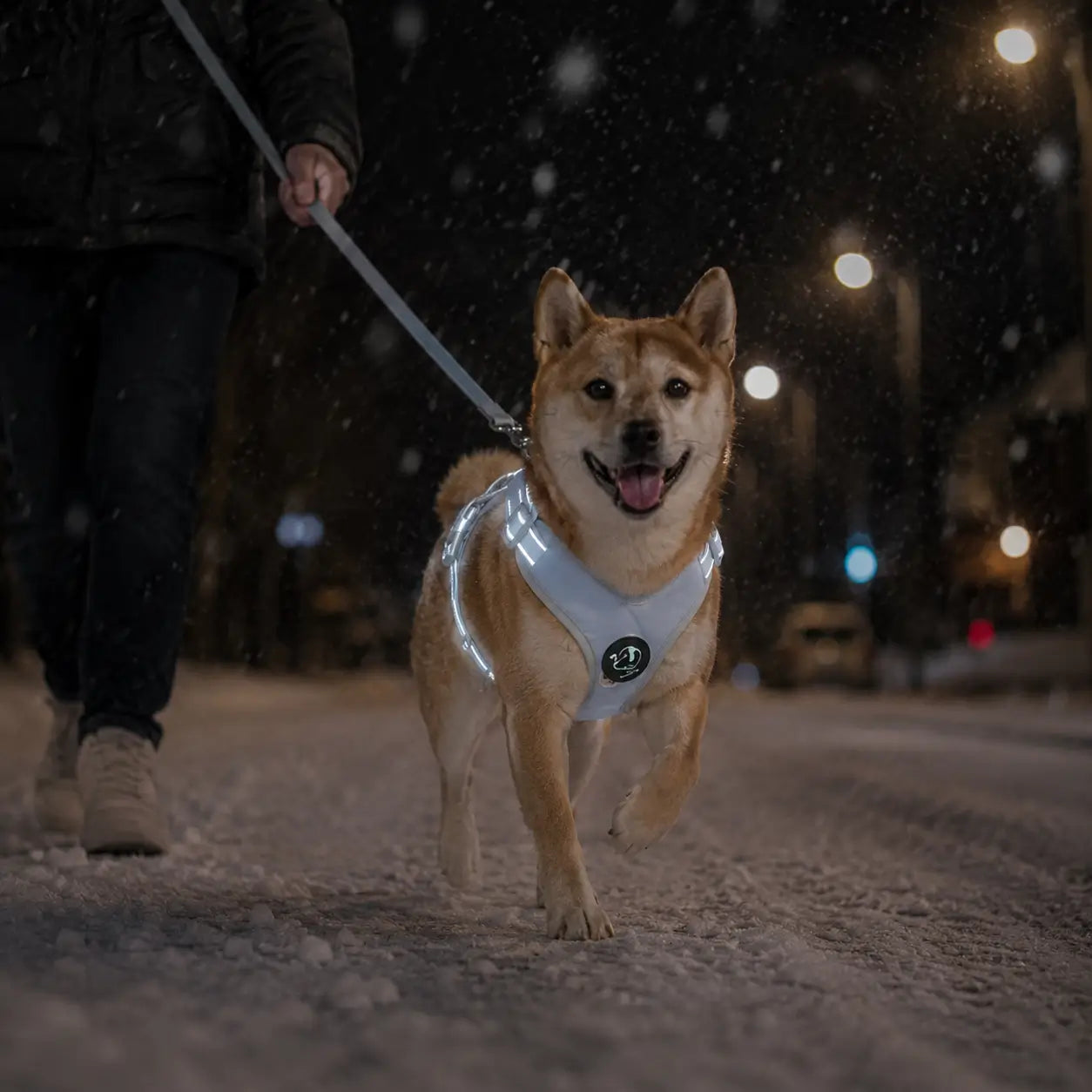 Reflektierendes Hundegeschirr mit Leine Lifestyle-Bild