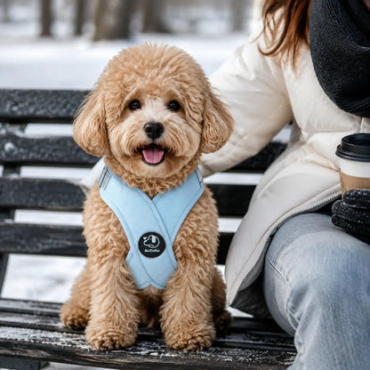 Reflektierendes Hundegeschirr mit Leine Lifestyle-Bild