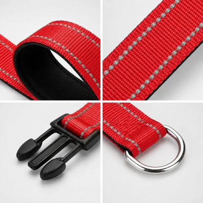 Hundehalsband