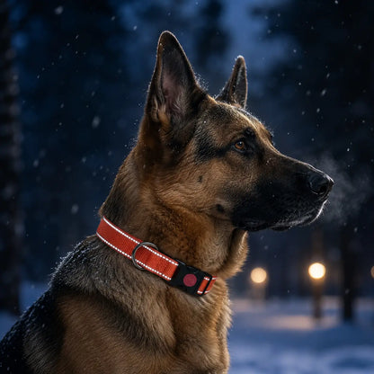 Reflektierendes Hundehalsband Hauptbild
