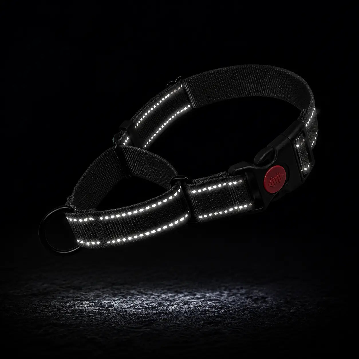 Reflektierendes Hundehalsband 