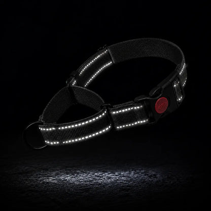 Reflektierendes Hundehalsband 
