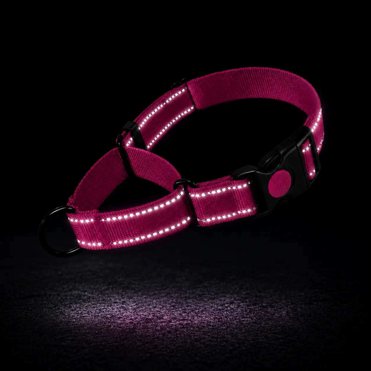 Reflektierendes Hundehalsband 