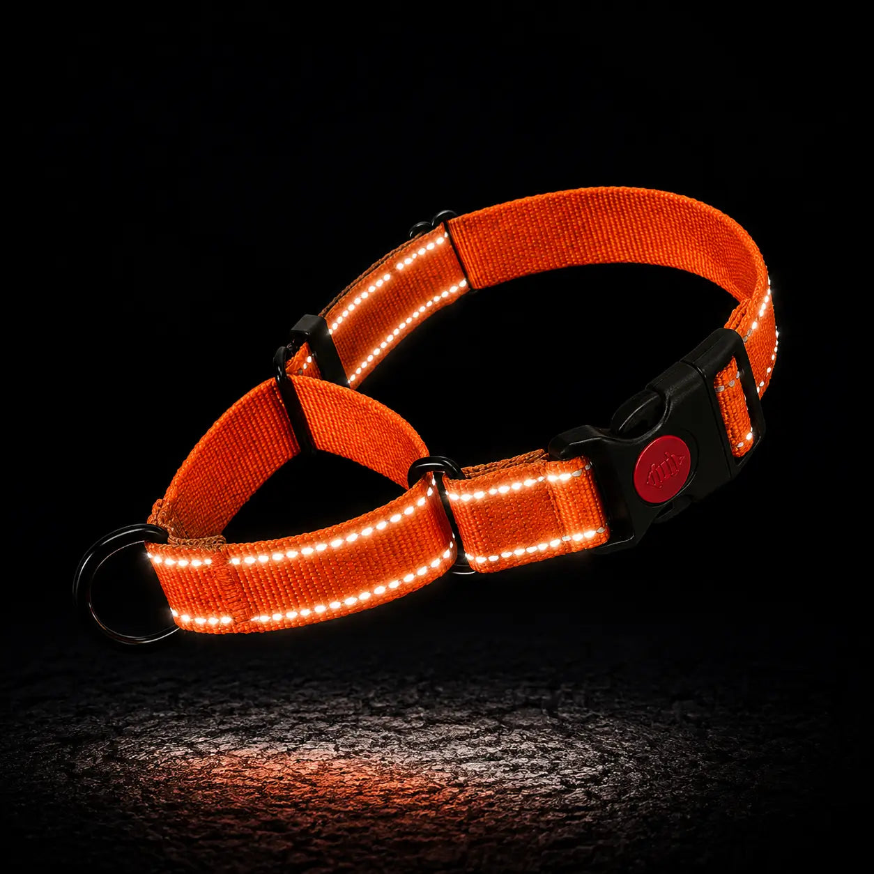 Reflektierendes Hundehalsband 