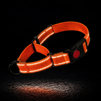 Reflektierendes Hundehalsband 