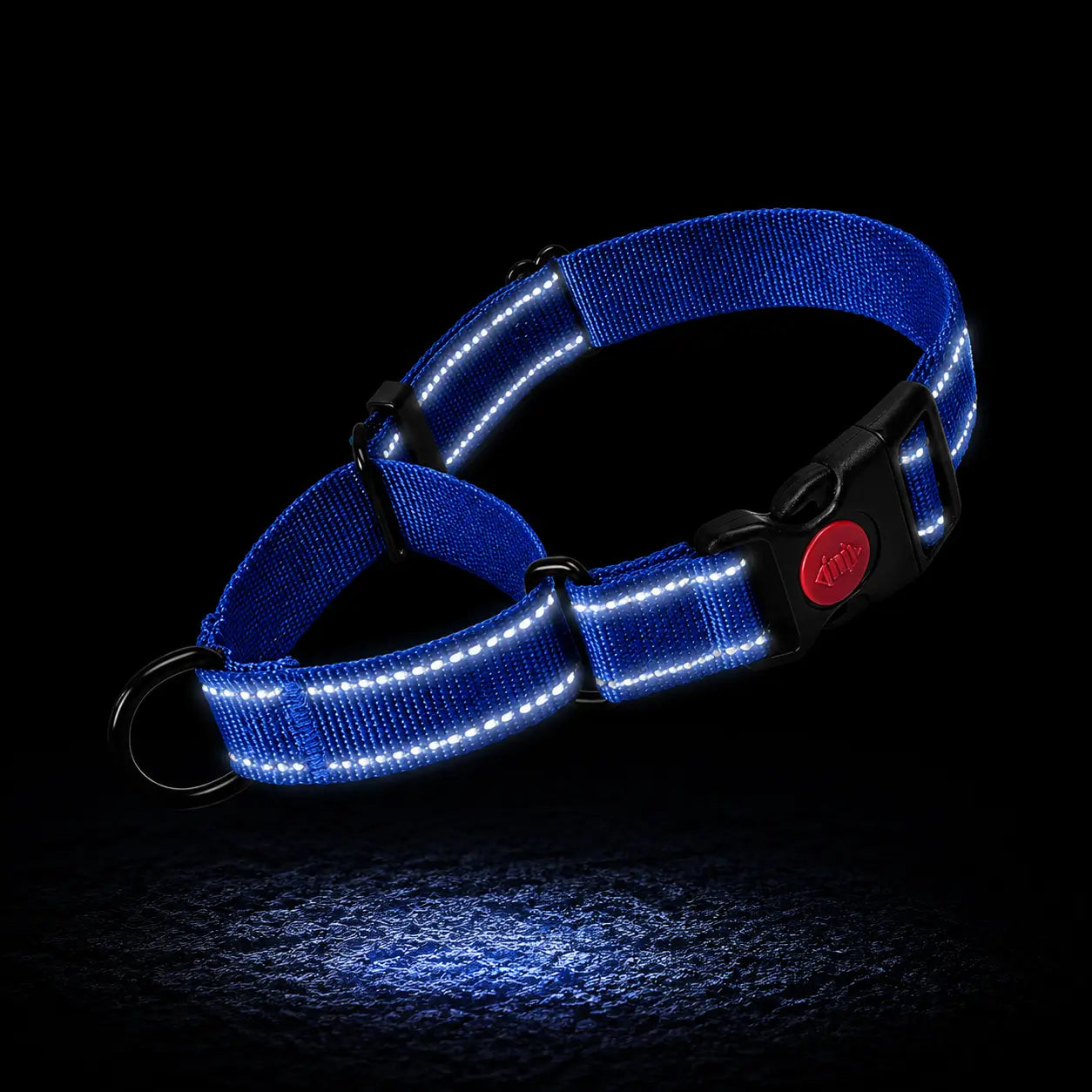 Reflektierendes Hundehalsband 