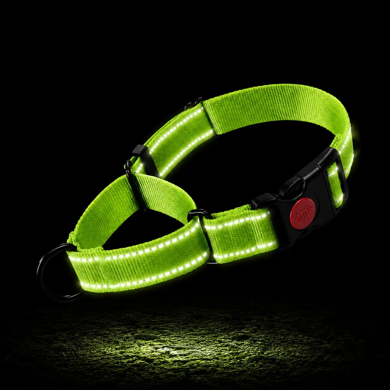 Reflektierendes Hundehalsband 