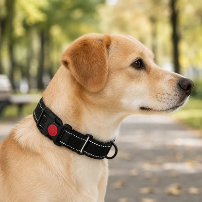 Hundehalsband