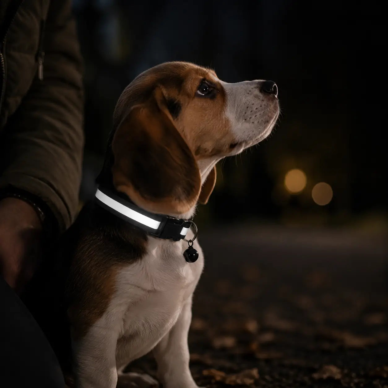 Reflektierendes Hundehalsband mit Glöckchen Hauptbild