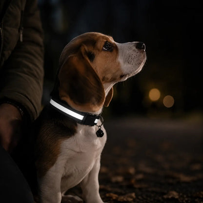 Reflektierendes Hundehalsband mit Glöckchen Hauptbild