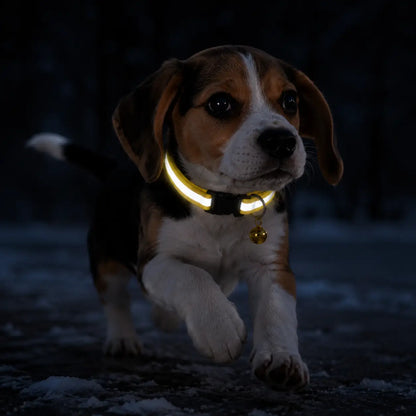 Reflektierendes Hundehalsband mit Glöckchen Lifestyle-Bild