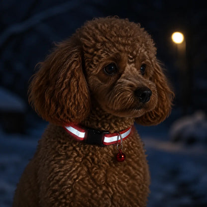 Reflektierendes Hundehalsband mit Glöckchen Lifestyle-Bild