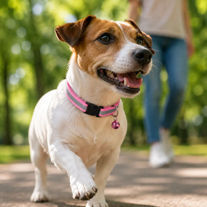 Reflektierendes Hundehalsband mit Glöckchen Lifestyle-Bild