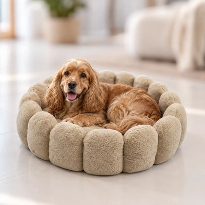 Hundebett Hauptbild