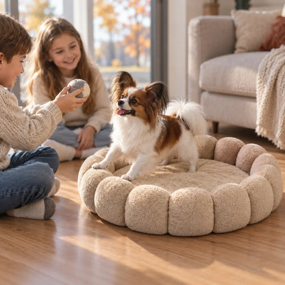 Hundebett Lifestyle-Bild