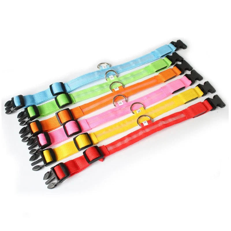 NightBuddy – LED Hundehalsband für maximale Sichtbarkeit im Dunkeln