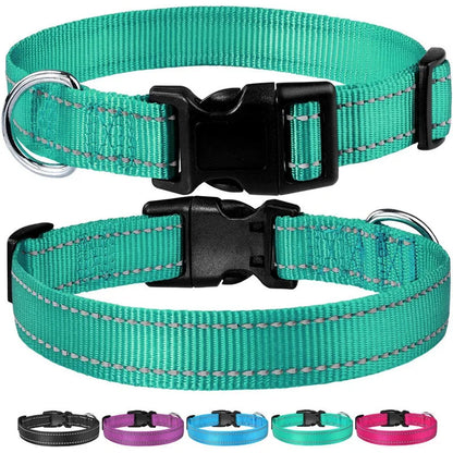 SicherLeucht – Reflektierendes, Hundehalsband aus Nylon für Spaziergänge bei Tag & Nacht