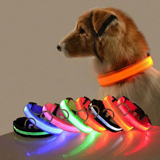 NightBuddy – LED Hundehalsband für maximale Sichtbarkeit im Dunkeln