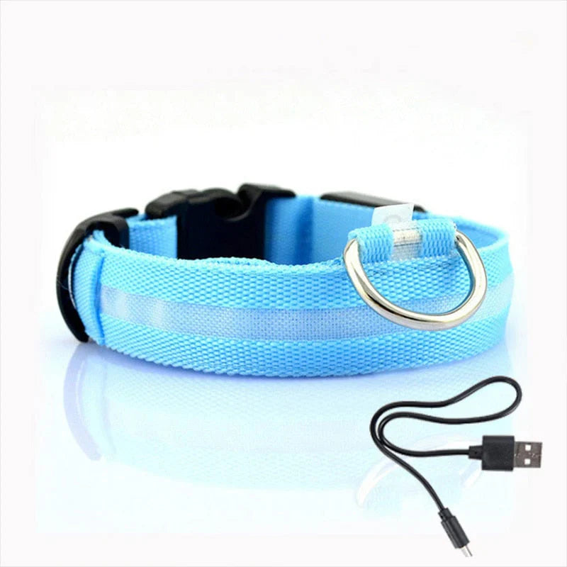 NightBuddy – LED Hundehalsband für maximale Sichtbarkeit im Dunkeln
