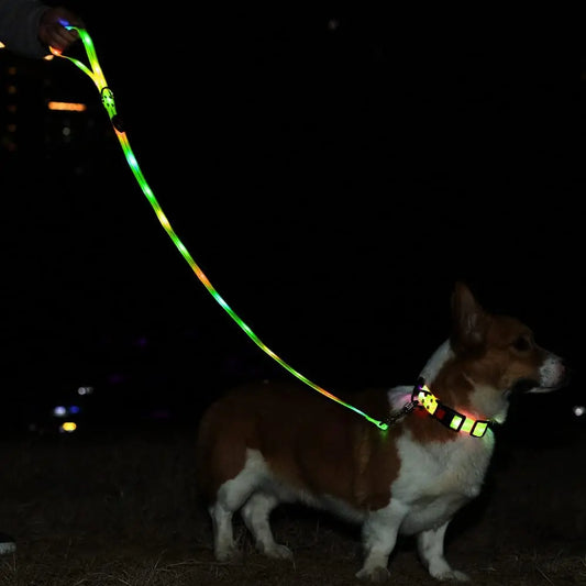 GlowPaw – LED Hundehalsband mit Leine für sichere Abendspaziergänge