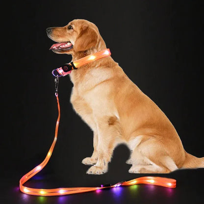 GlowPaw – LED Hundehalsband mit Leine für sichere Abendspaziergänge