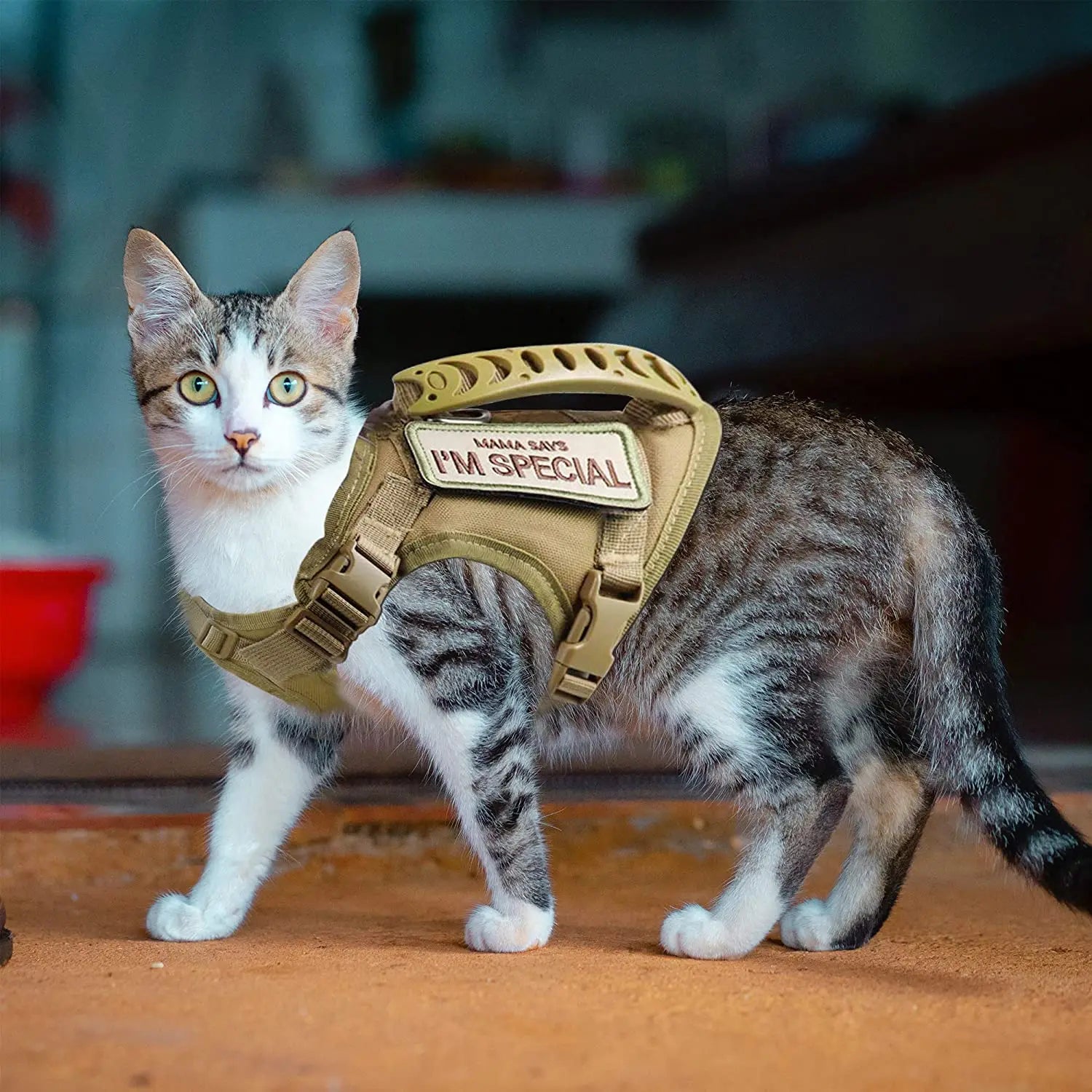 KletterKönig – Das ausbruchsichere Katzengeschirr mit Griff für Abenteuer draußen