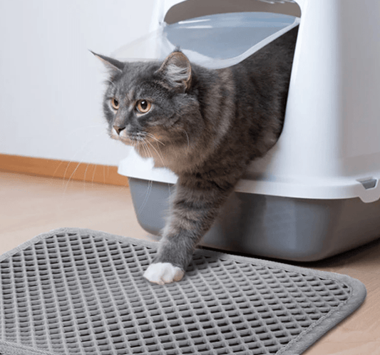 CleanPaw – Die hygienische Katzenstreumatte mit Wabenstruktur für ein sauberes Zuhause