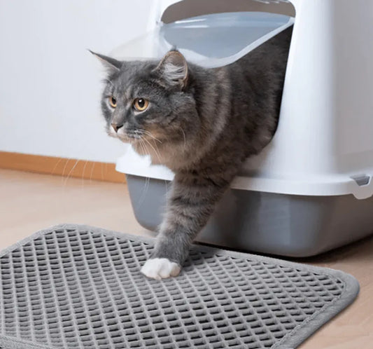 CleanPaw – Die hygienische Katzenstreumatte mit Wabenstruktur für ein sauberes Zuhause