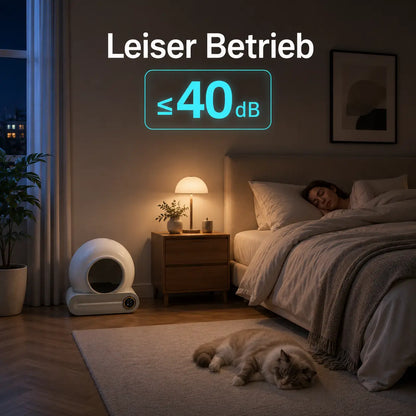 Katzentoilette Lebensstil 