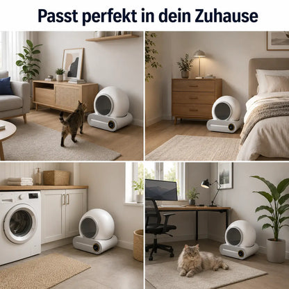 Katzentoilette Anwendungsszenarien