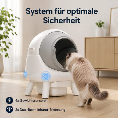 Katzentoilette 